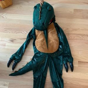 Dinosaur costume